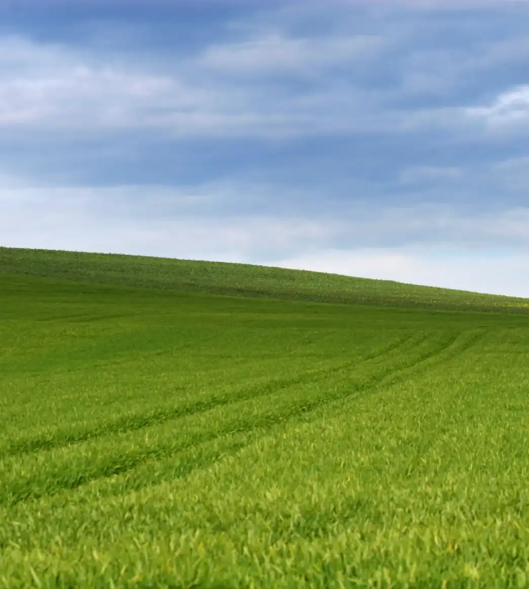 picture of open pastures in sutherland virginia