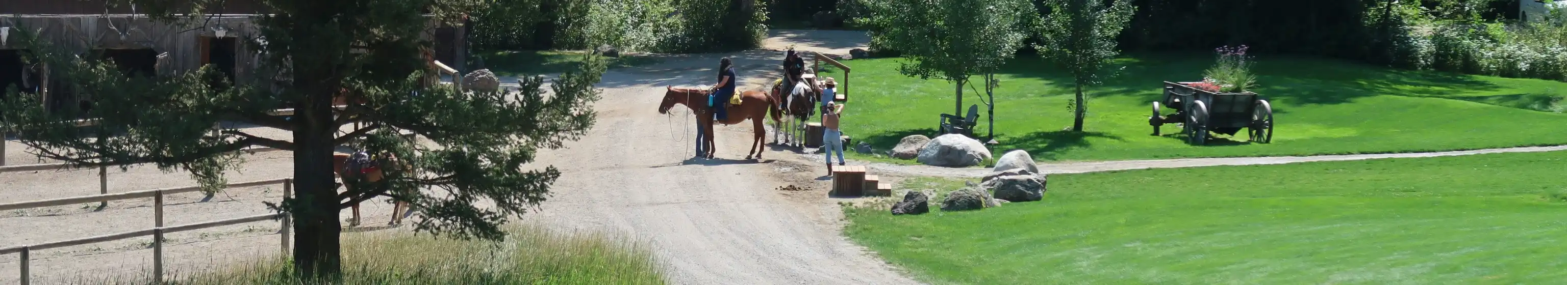 picture of horses and their riders outside
