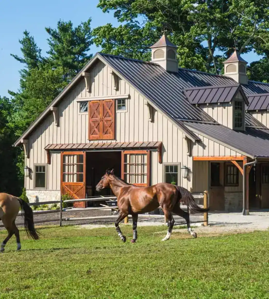 horses playing near a barn